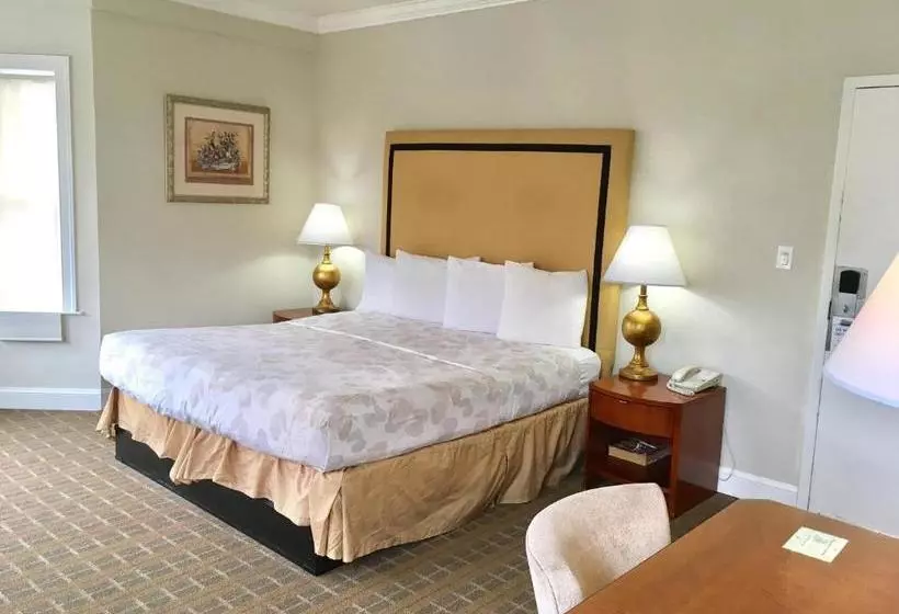 ホテル Americas Best Value Inn & Suites  Soma