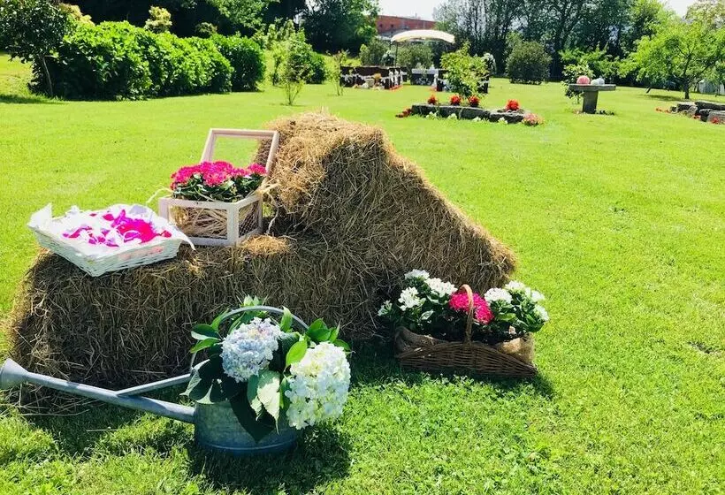 Отель Casa Jurjo