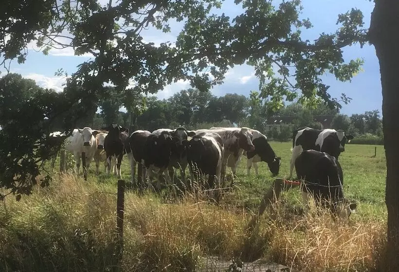 בית מלון כפרי Cleythil