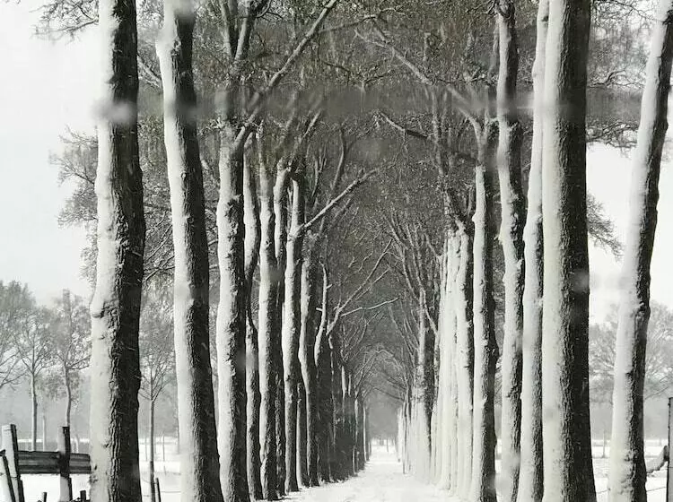 בית מלון כפרי Cleythil