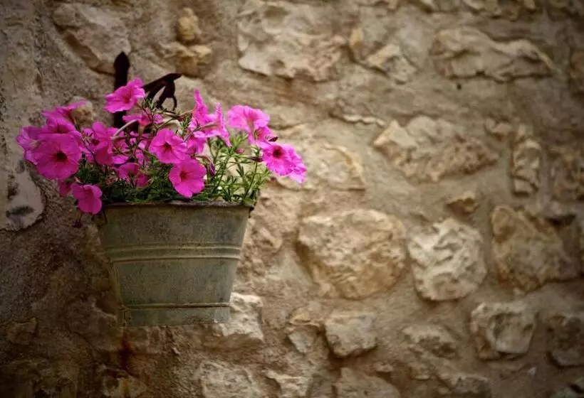 هتل Le Cinque Luci