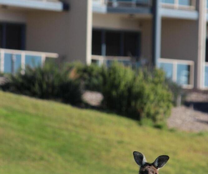 בית מלון כפרי Lady Bay