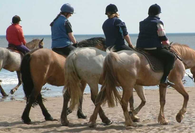 בית מלון כפרי Lady Bay