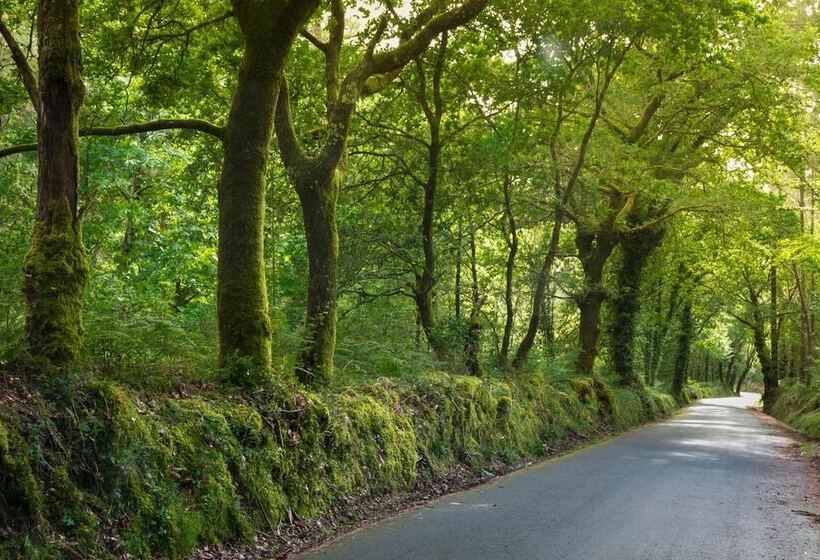 هتل روستایی A Casa Da Meixida