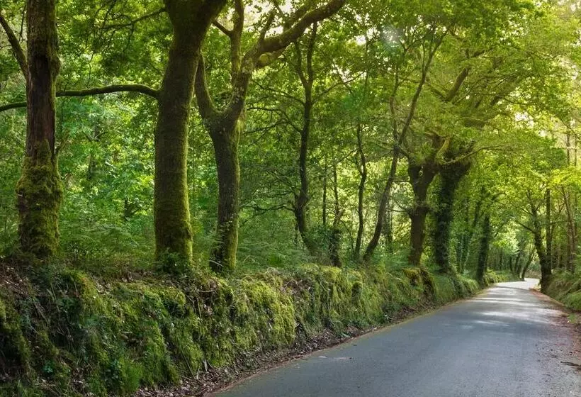 Maaseutuhotelli A Casa Da Meixida