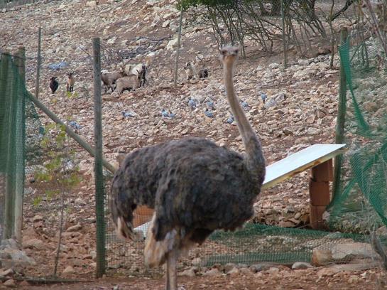 Отель Rural Mi Refugio