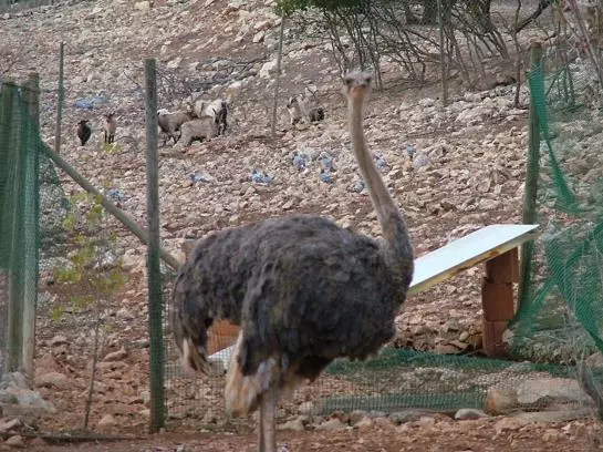 호텔 Rural Mi Refugio 