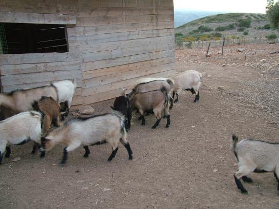 Отель Rural Mi Refugio