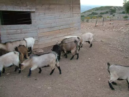 호텔 Rural Mi Refugio 