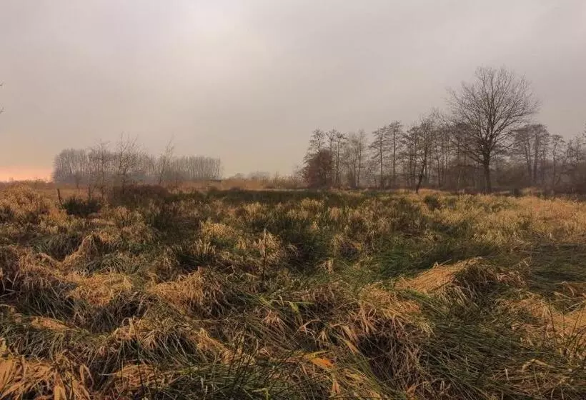 Отель Het Buskruid