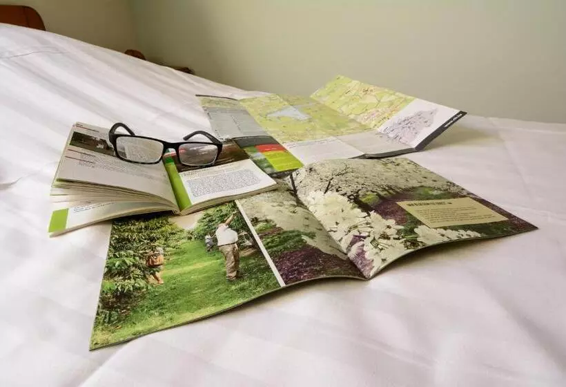 Отель Het Buskruid