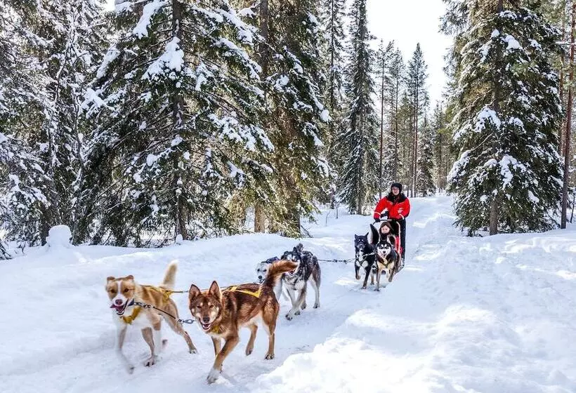 Lapland Hotels Bear´s Lodge