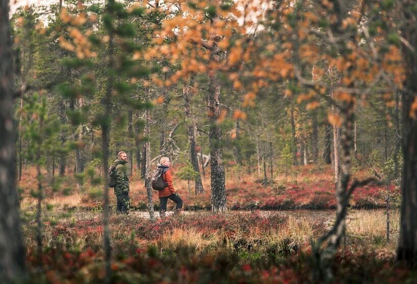 Lapland Hotels Bear´s Lodge