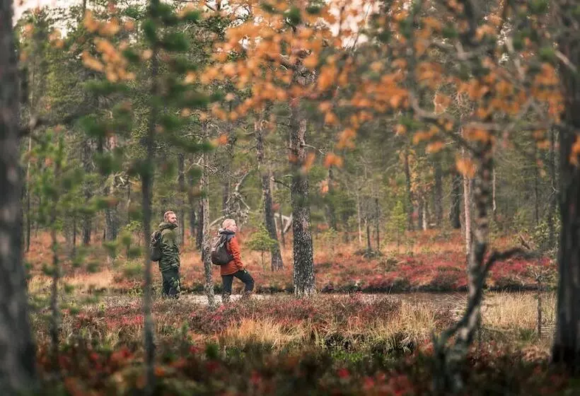 Lapland Hotels Bear´s Lodge