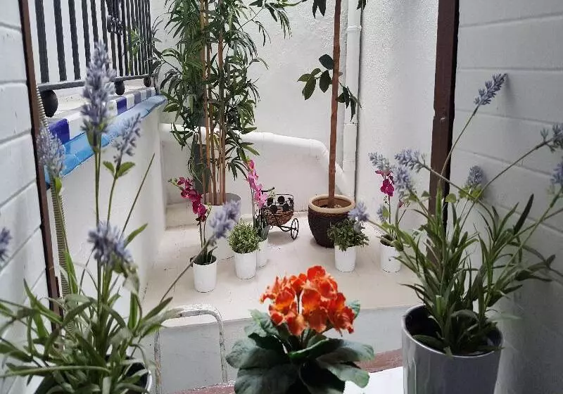 پانسیون Giraldilla