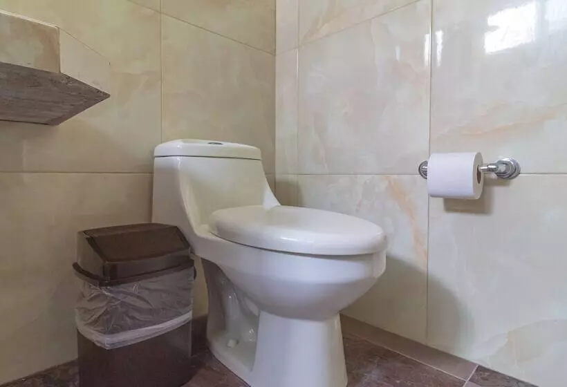 ホテル Aruma Luxury Suites Mahahual