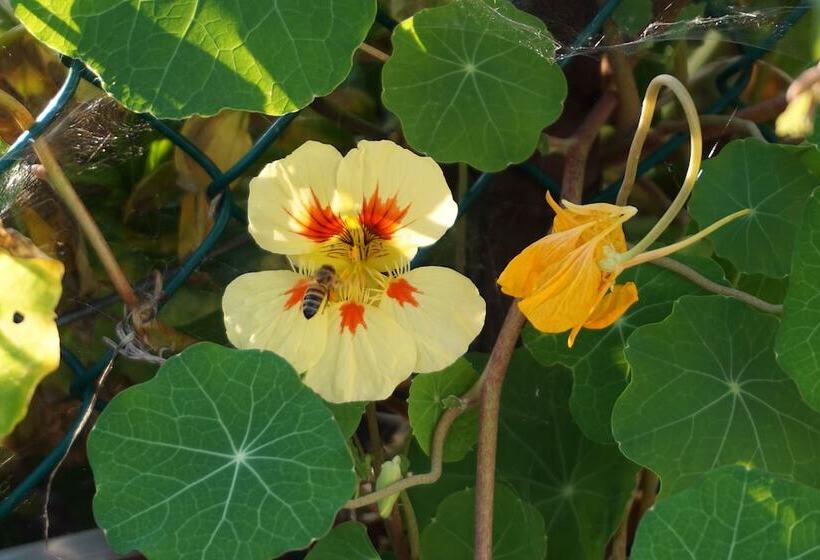 فندق صغير Auberge L Ile De France