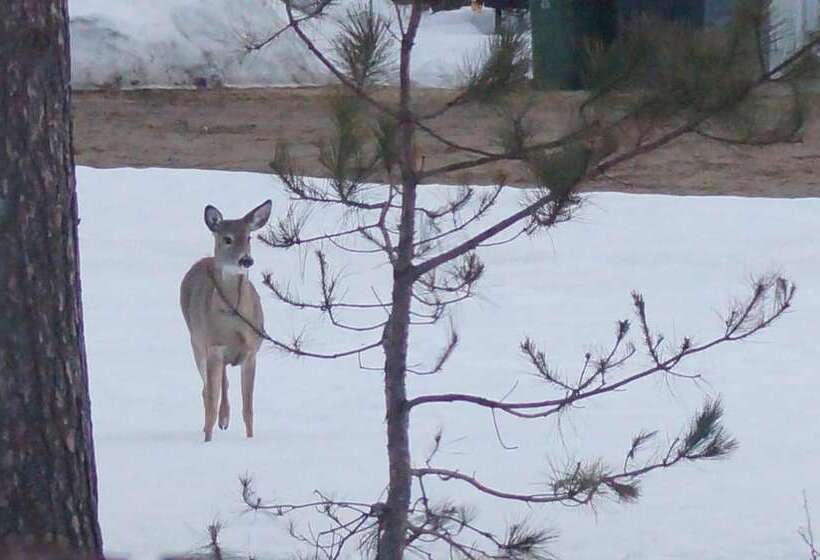 فندق صغير Auberge L Ile De France