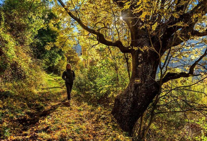 הוסטל Refugi Rural Vall De Siarb