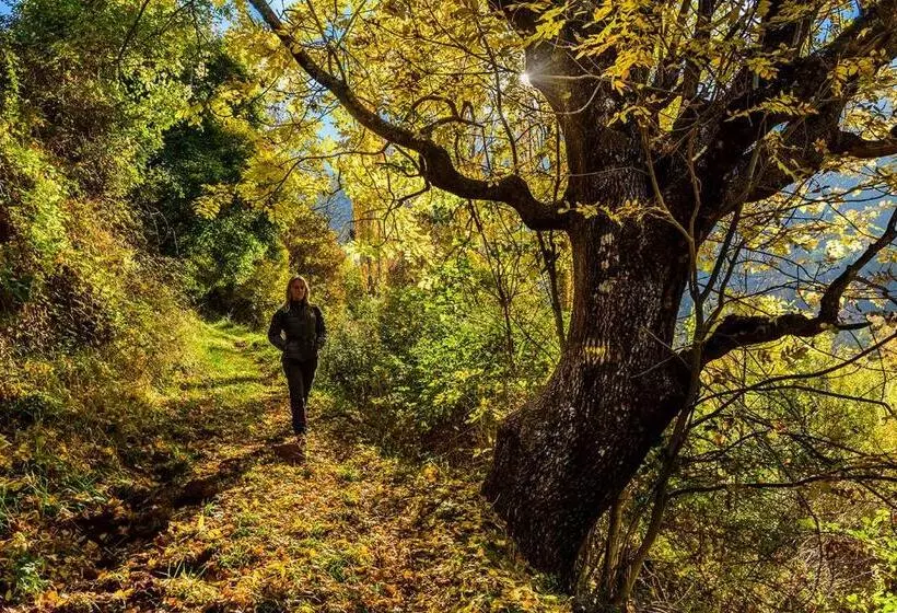 ユースホステル Refugi Rural Vall De Siarb