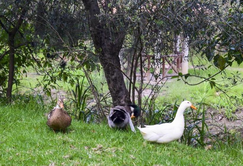 ホテル Hacienda Santa Cecilia