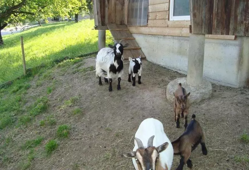 ホテル Heiterhof