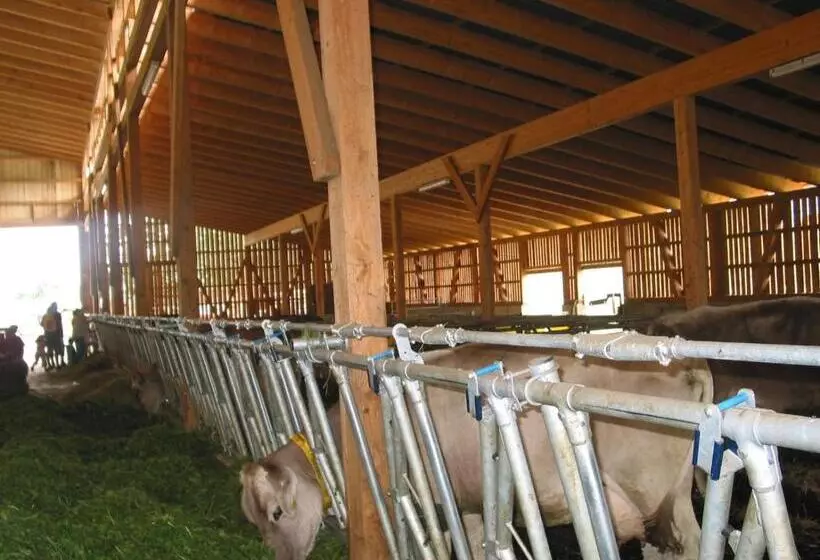 ホテル Heiterhof