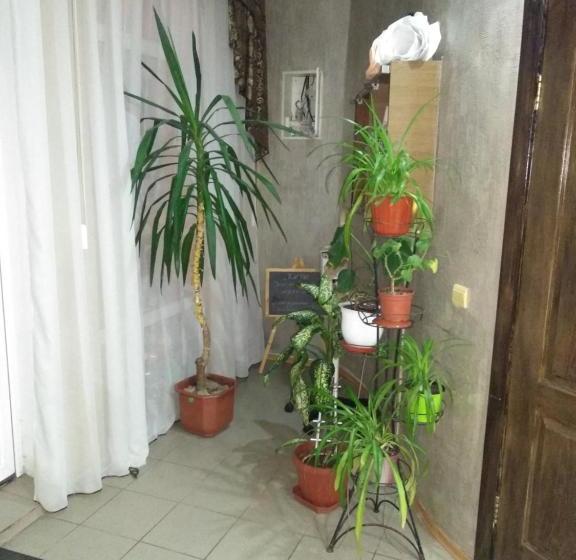 Pensione хостел Maxi