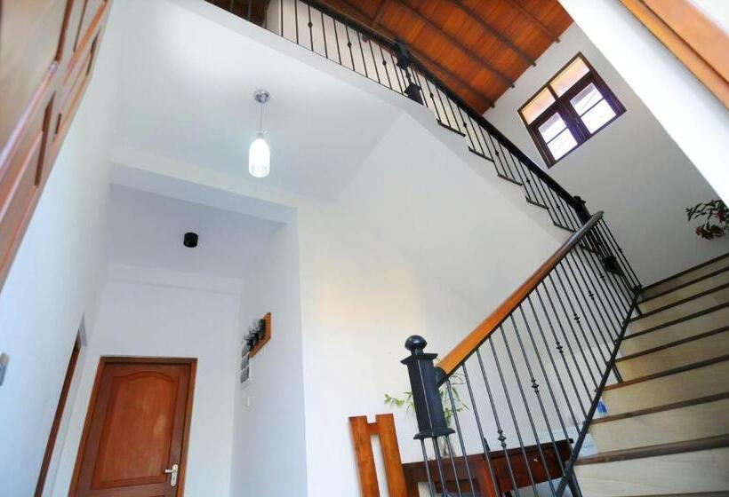 膳宿费 Park Lane Apartments