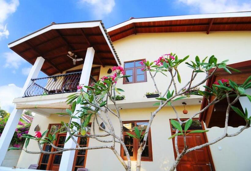 膳宿费 Park Lane Apartments