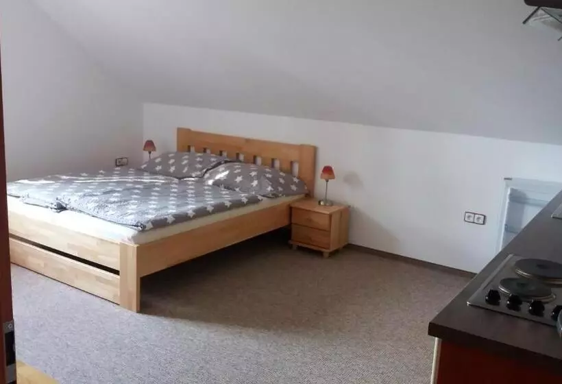 ペンション Penzion Panter