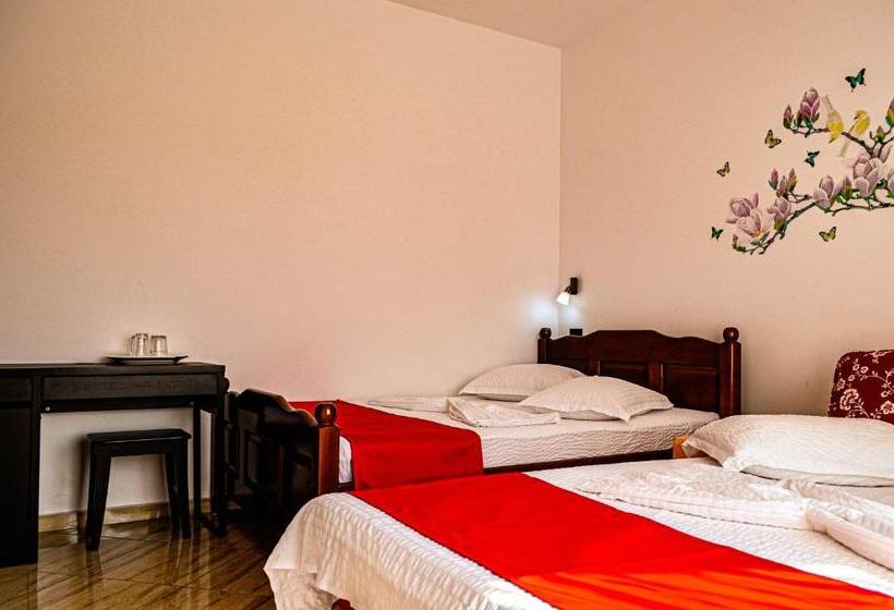 بنسيون Roman Costinesti