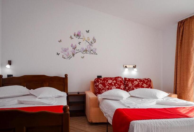 بنسيون Roman Costinesti