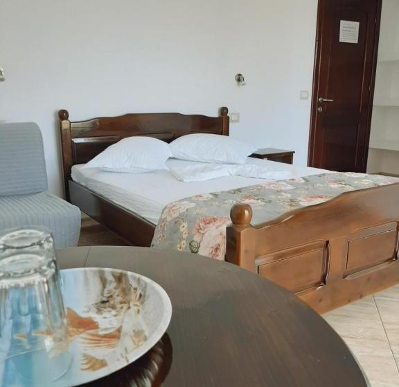 פנסיון Roman Costinesti