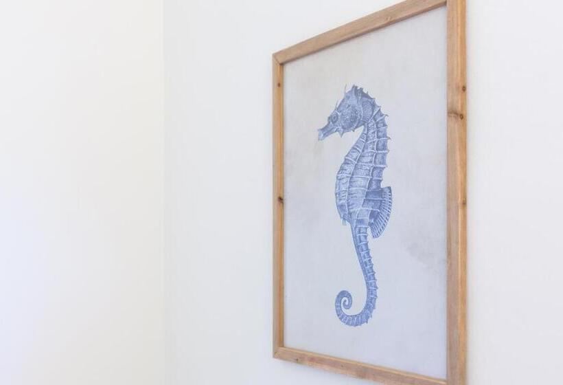 פנסיון Suite Faro 33