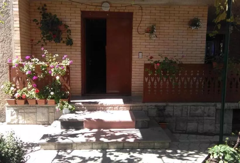 پانسیون Teli Guest House