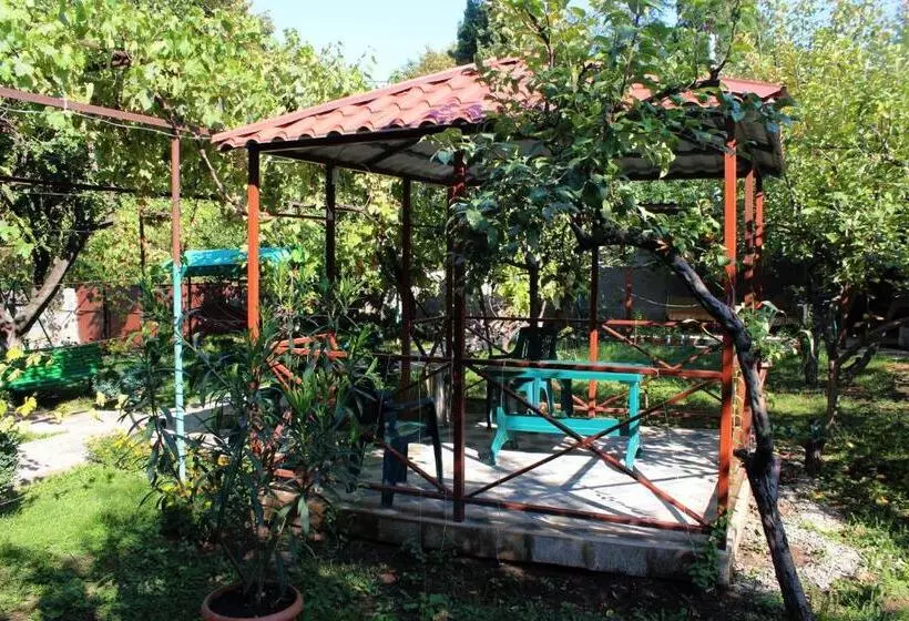 پانسیون Teli Guest House