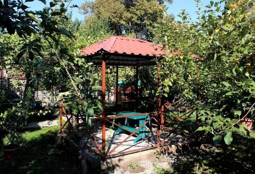پانسیون Teli Guest House