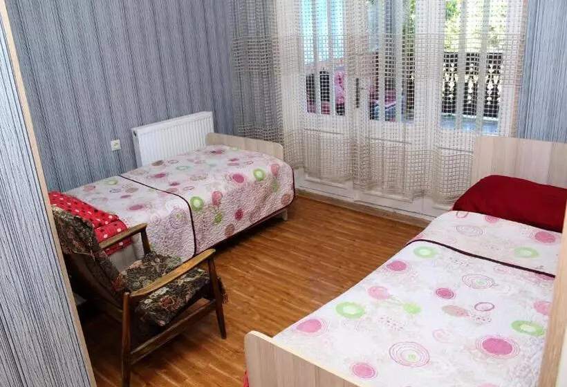 پانسیون Teli Guest House