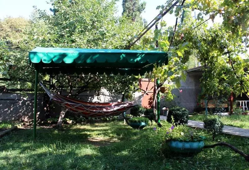 پانسیون Teli Guest House