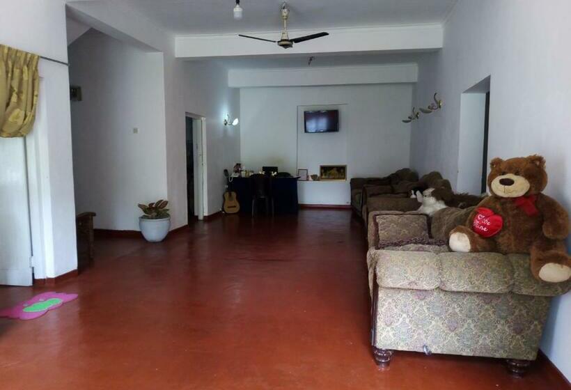 Pensionat White House Hostel