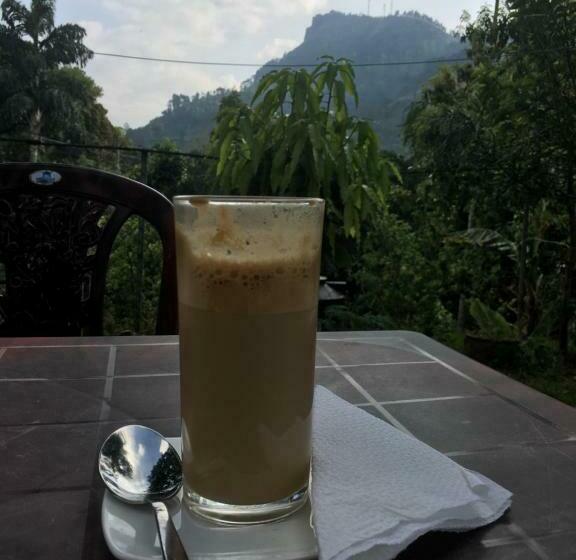 Pensionat White House Hostel