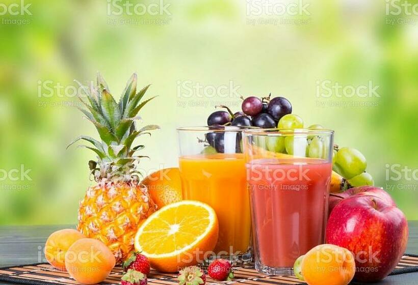 Pensionat White House Hostel