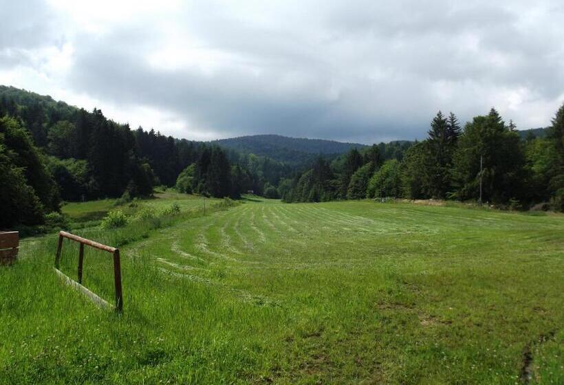 Pensiunea Casa Zmeilor