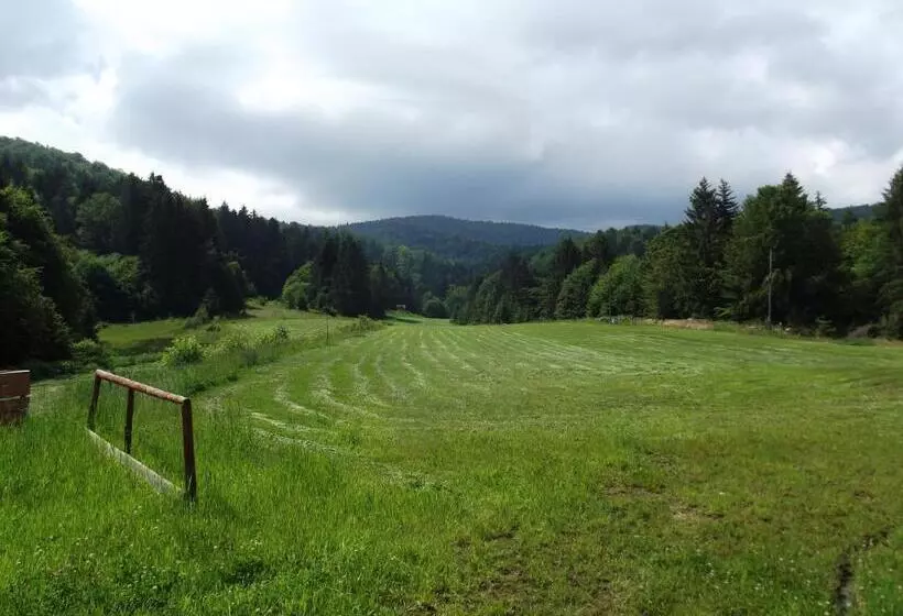 Pensiunea Casa Zmeilor