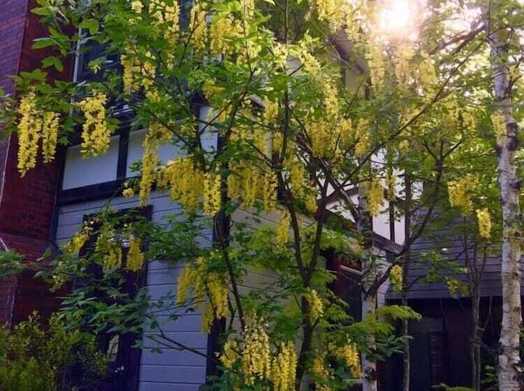 ペンション Resort Inn Bon Chic