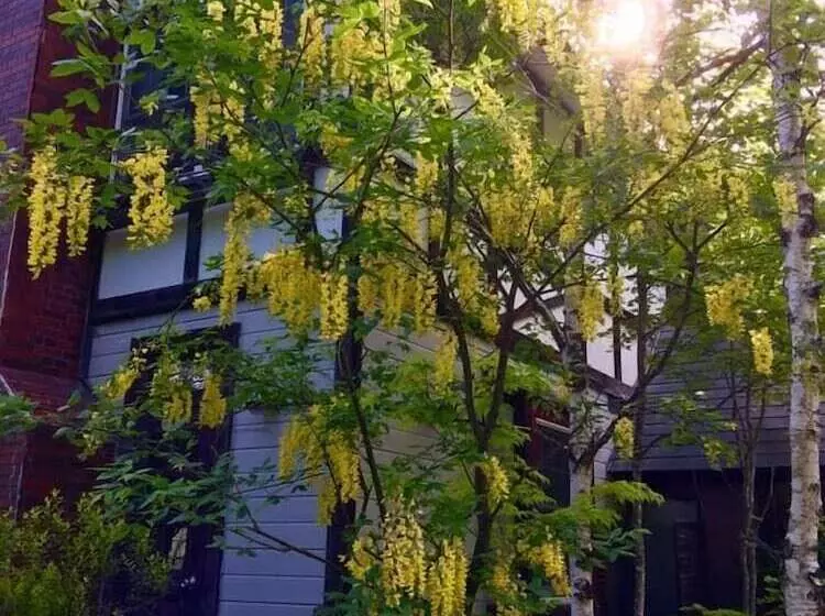 ペンション Resort Inn Bon Chic