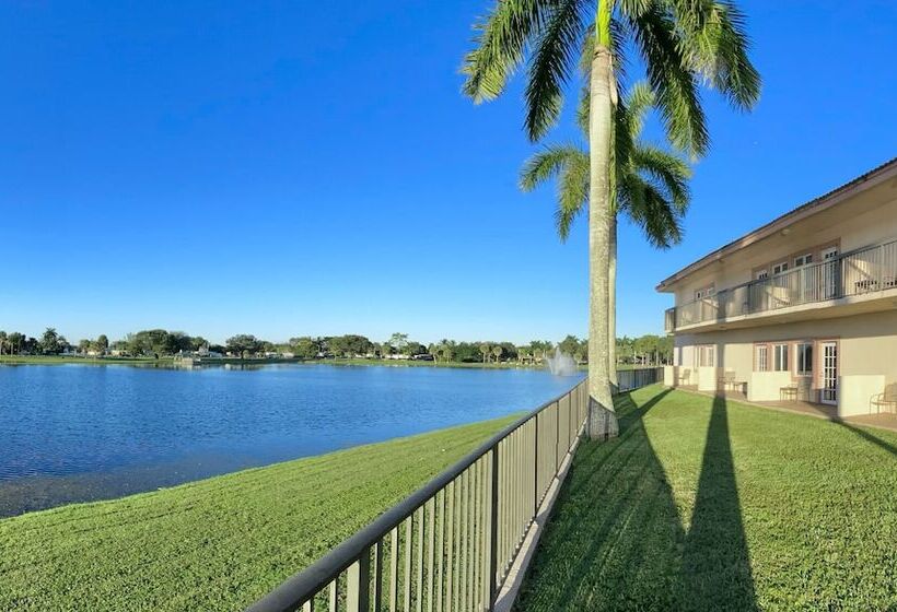 Отель Royal Inn