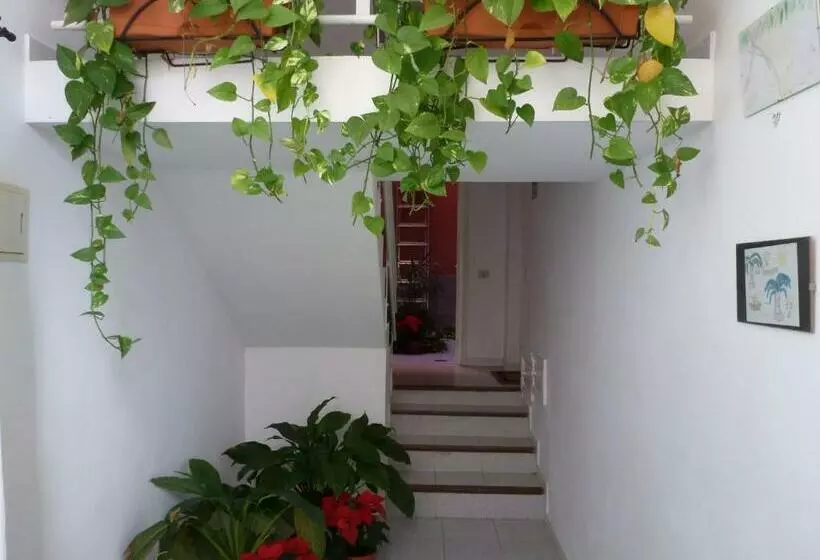 Apartamentos Bellavista Gomera