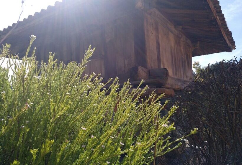 Apartamentos Rurales Obaya